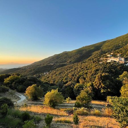 Appartement Dans Maison De Village Vue Mer Sisco Kültér fotó